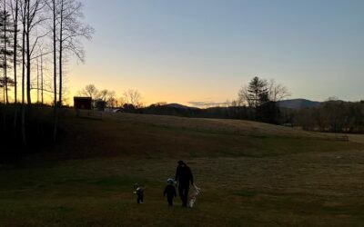 Advent, Week Two: Is Peace Possible?